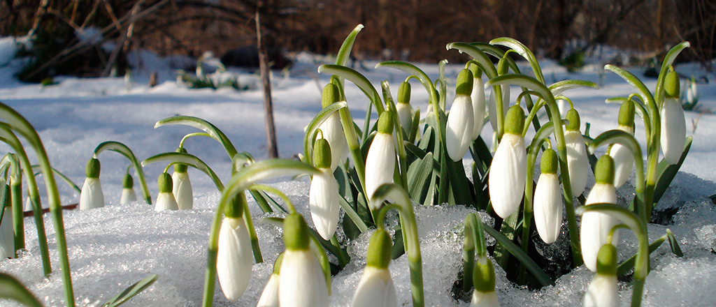 Spring holidays in Belarus. Wake up together with nature!