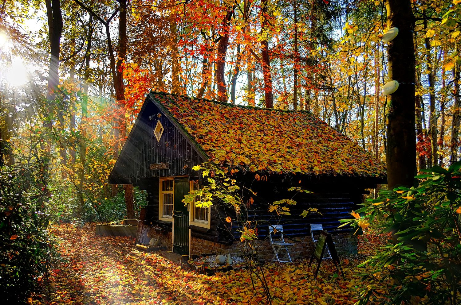 Autumn at the sanatoriums of Belarus