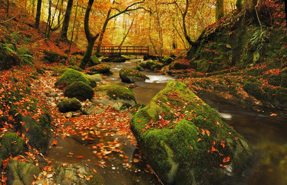 Autumn at the holiday resorts of Belarus