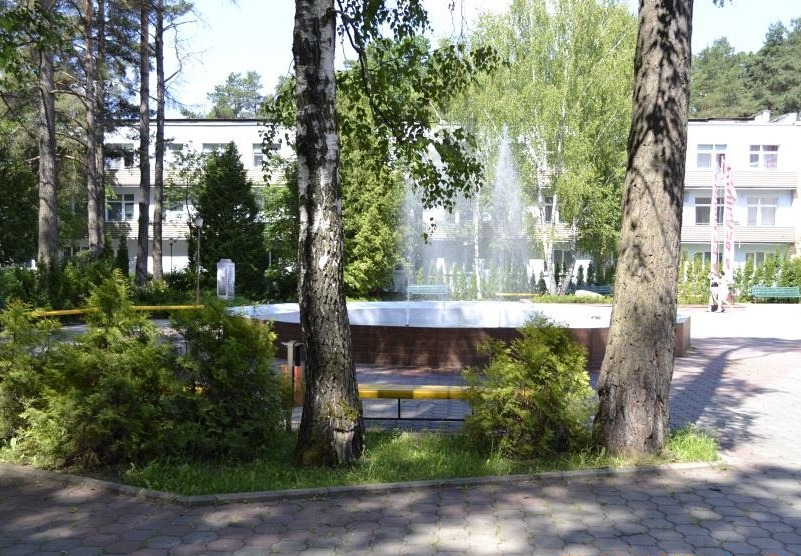 Шинник