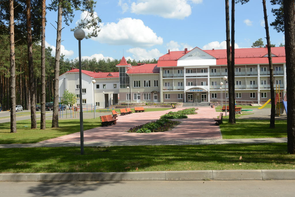 Сосны