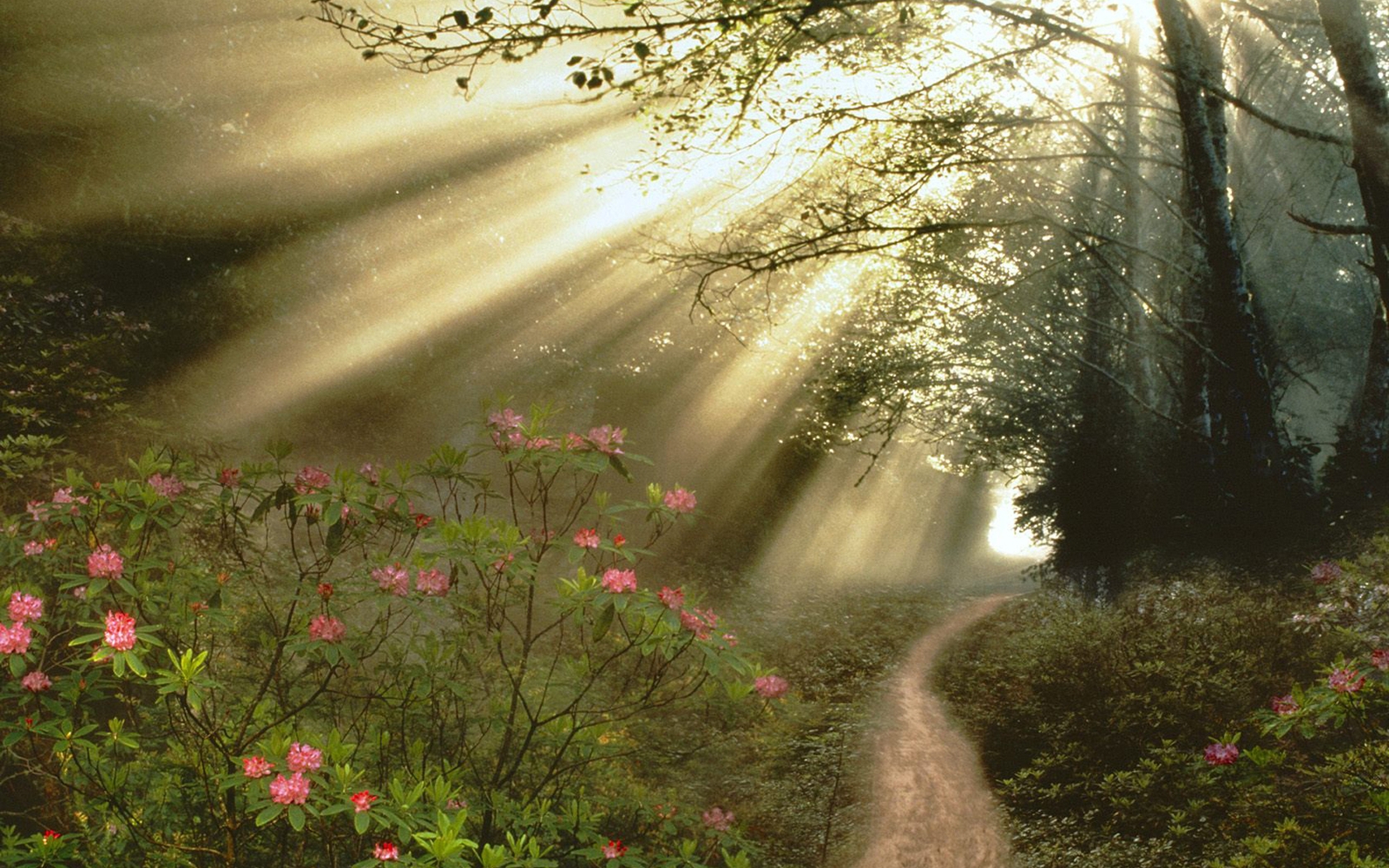 Spring at the holiday resorts of Belarus